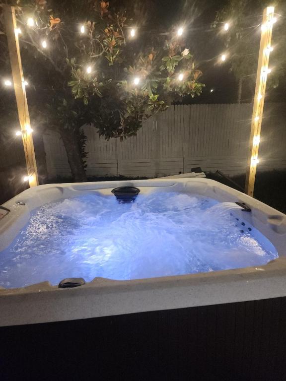 Modern Tampa Retreat Hot Tub EV Charger Sleeps 8 - B&B Tampa