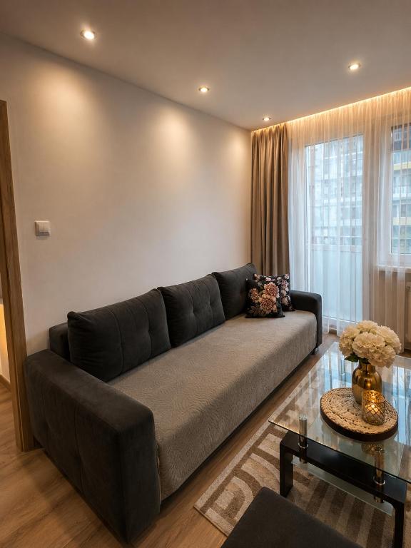 Apartament Beskidzki Zakątek Skoczów - B&B Skoczów