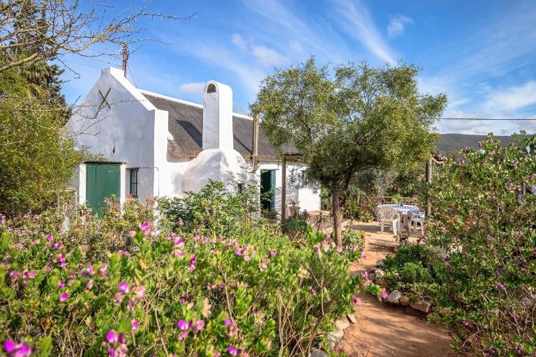 Mulberry Cottage - B&B McGregor