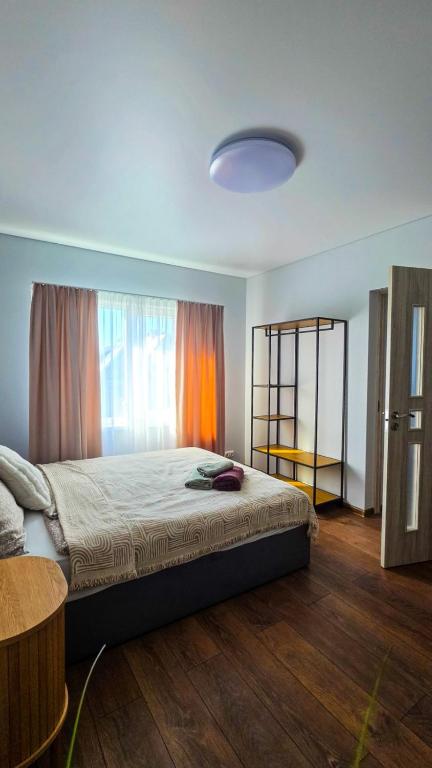 Historic Lake View Apartment - B&B Zarasai