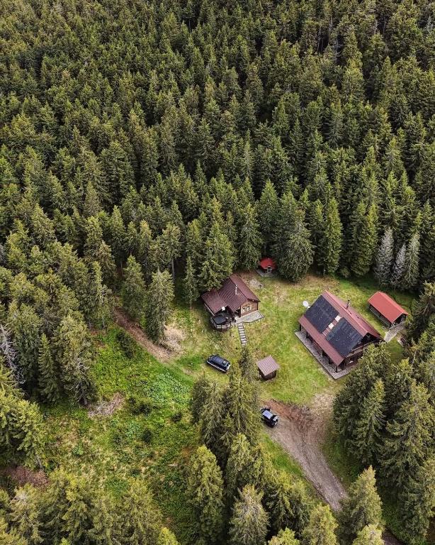 Natura BH - Chambres d'hôtes Izvoare