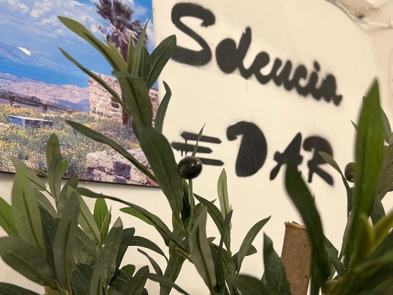 Seleucia DaR Umm Qais - Ferienwohnung Umm Qays