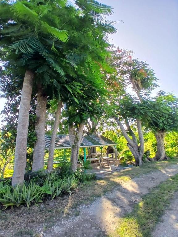 LE VERT OCÉAN le calme de la nature à 3min de la plage au GOSIER - B&B Le Gosier
