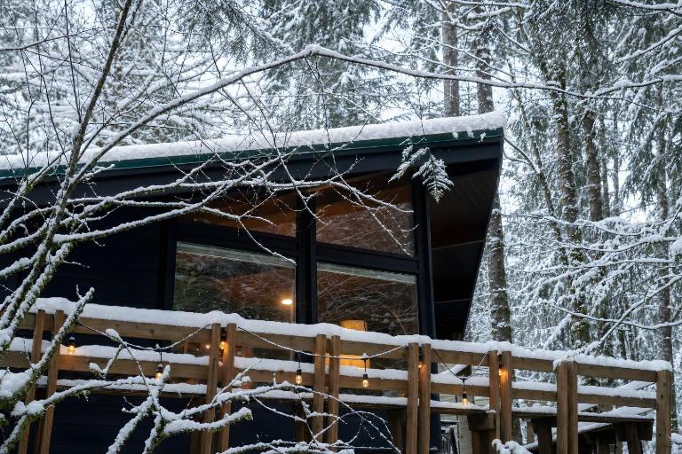 Mid-century Cabin Hideaway - Hot Tub & Fire Pit - Ferienwohnung Rhododendron