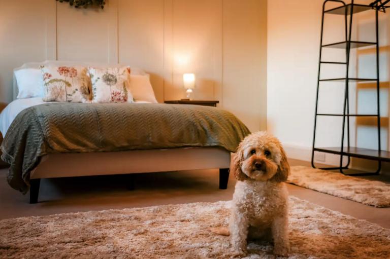 Old Orchard Cottage - B&B Wykeham