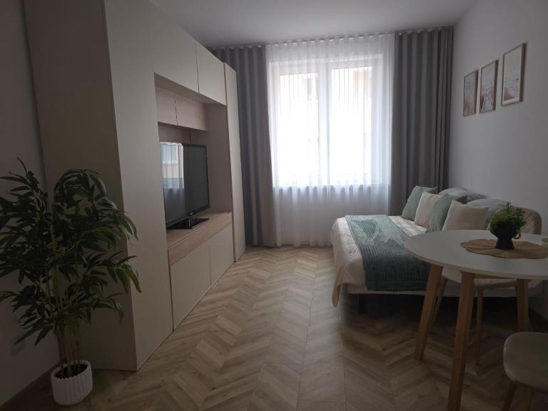 Bolesławiec City Apartment - B&B Bolesławiec