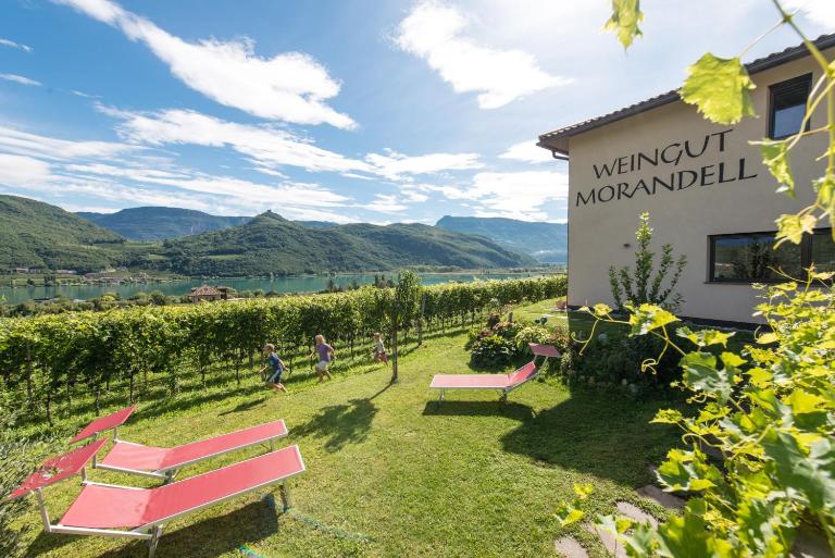 Weingut Morandell - Bed and Breakfast Coltura