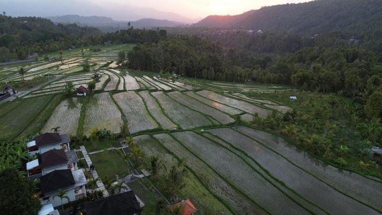 Umaku Bali Homestay - Chambres d'hôtes Munduk