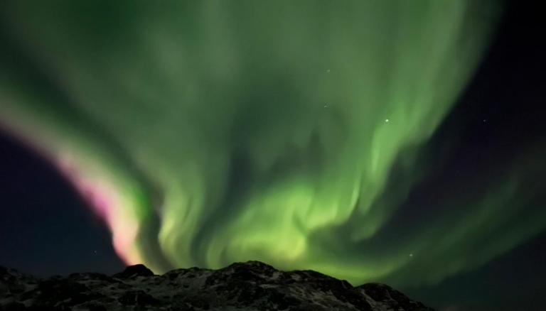 Lofoten Adventure Homes - Chambres d'hôtes Festvåg
