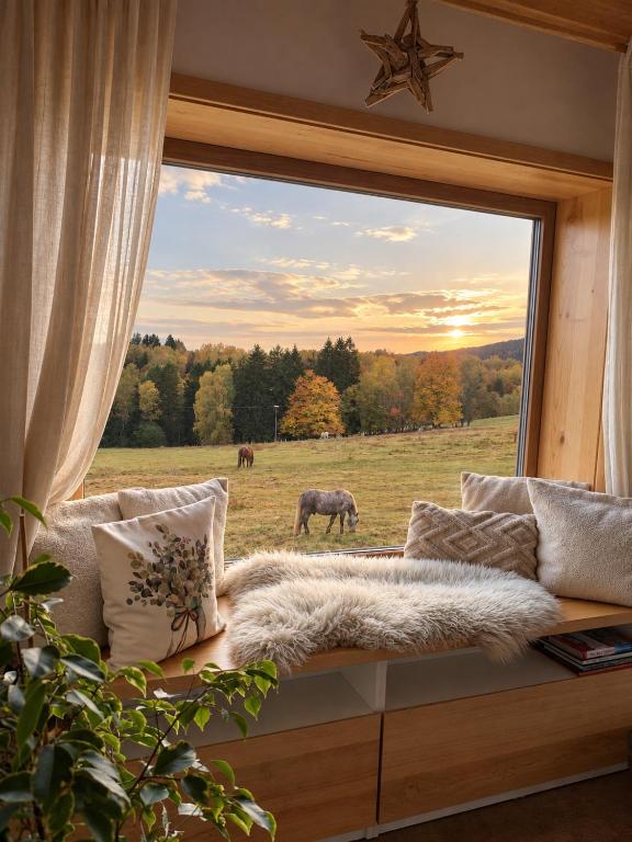 Apartmán Schwaderbach - Ferienwohnung Bublava
