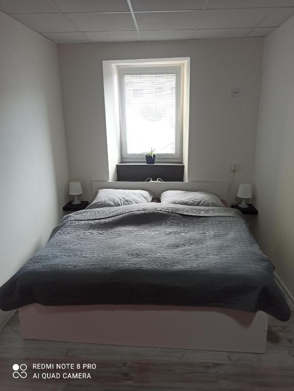 Apartmán Růže - Chambres d'hôtes Bzenec