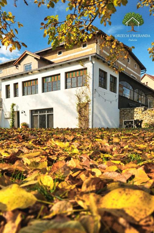 ORZECH i WERANDA Z OGRODEM - Ferienwohnung Bad Altheide