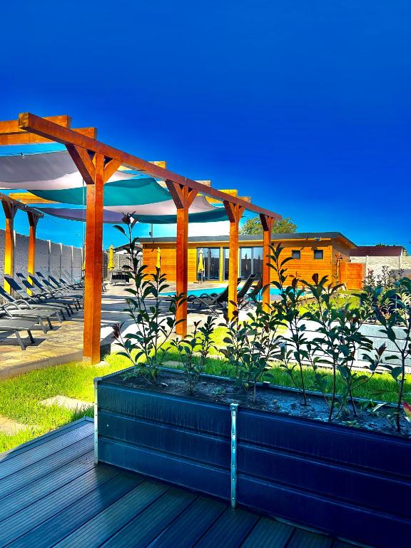 A-frame Studio Events - Chambres d'hôtes Gruiu