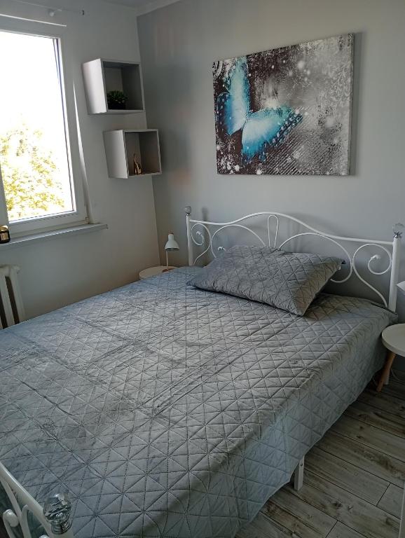 Apartament w centrum - B&B Biskupiec