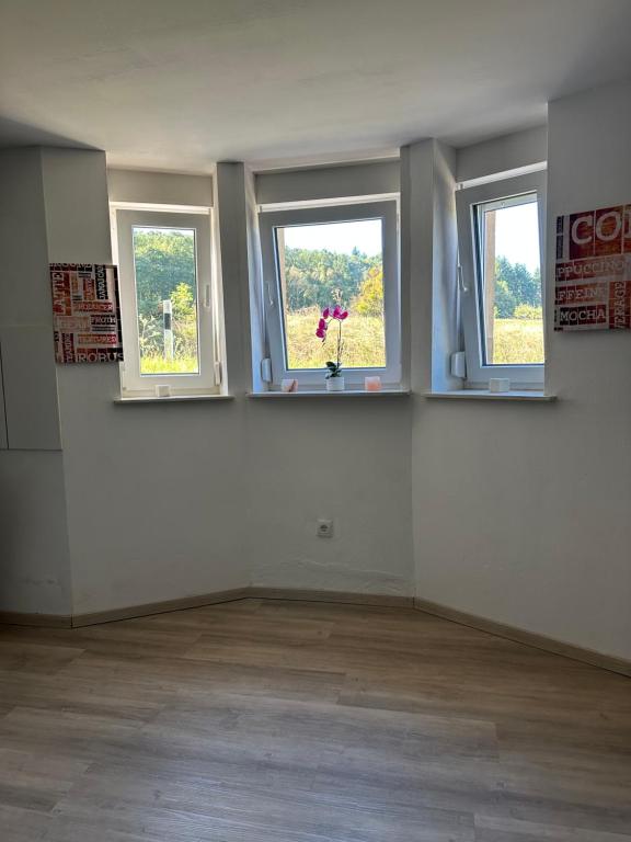 Waldsee - B&B Hilgert