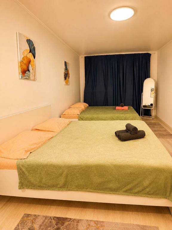 Kenesary Famiy Stay - Wholesale Markets - Airport - Almaty-1 Railway Station - B&B Almaty