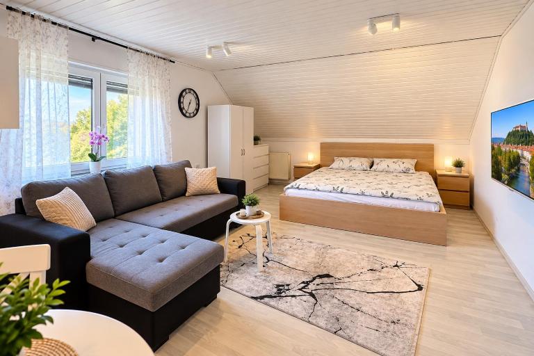 Iza56 - Bed and Breakfast Ljubljana