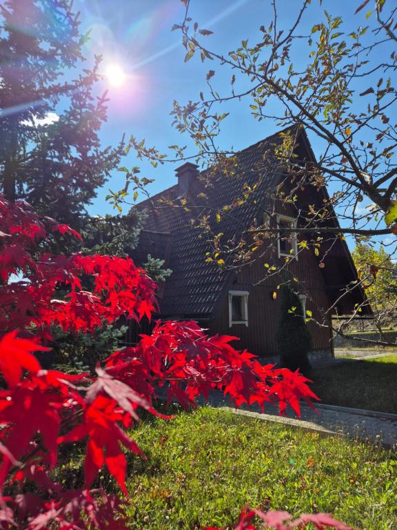 Kuća za odmor Vesna - Bed and Breakfast Stari Laz