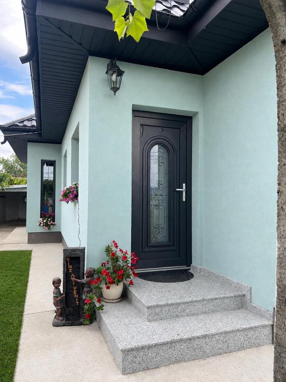 Casa Marina - near airport - B&B Bacau