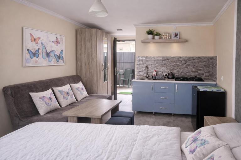Apartment Double Studio - B&B Borjomi
