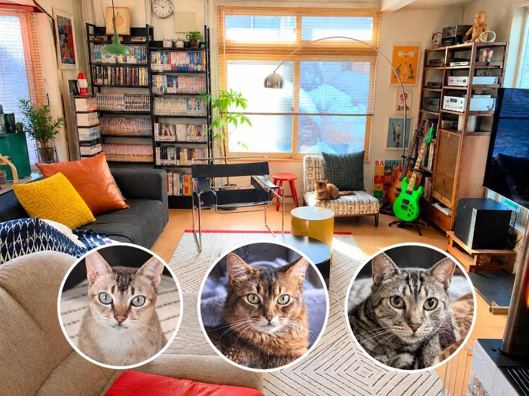 猫と暮らす家 駐車場有English Español available 深夜のチェックイン対応 - Ferienwohnung Sapporo