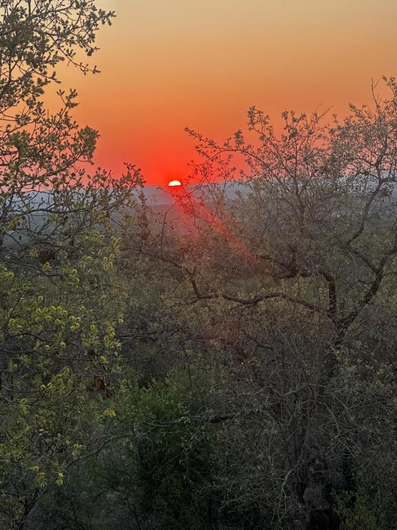 ThornVale Sunset - B&B Buffelshoek