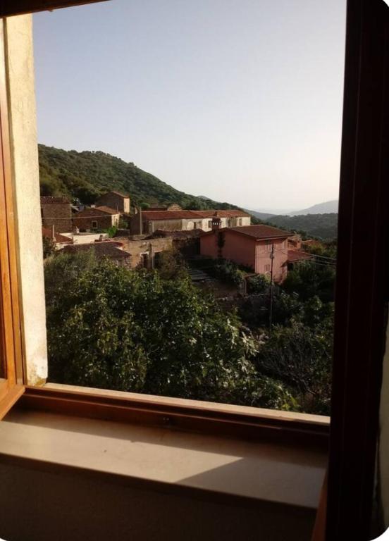 serenzia - B&B Lollove
