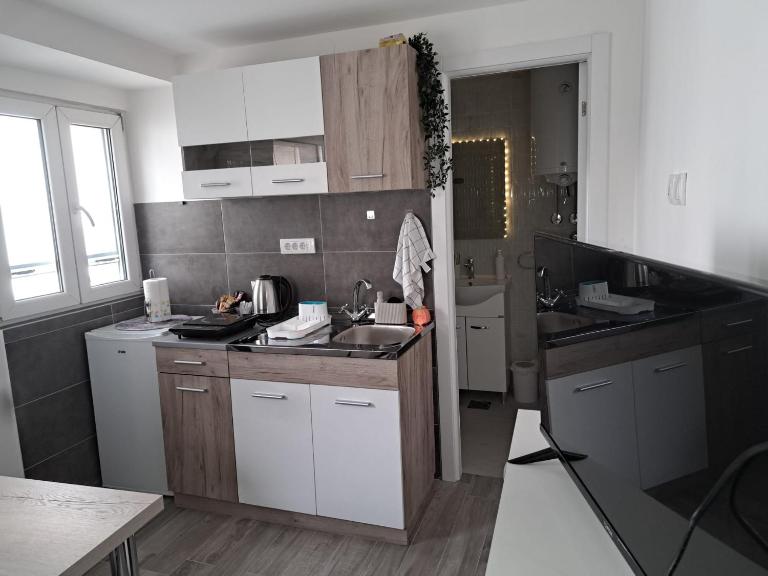 Mags Studio Zemun - Ferienwohnung Belgrad