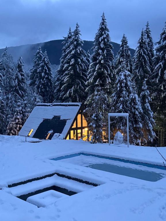 Pine Hill 2 - B&B Poiana Mărului
