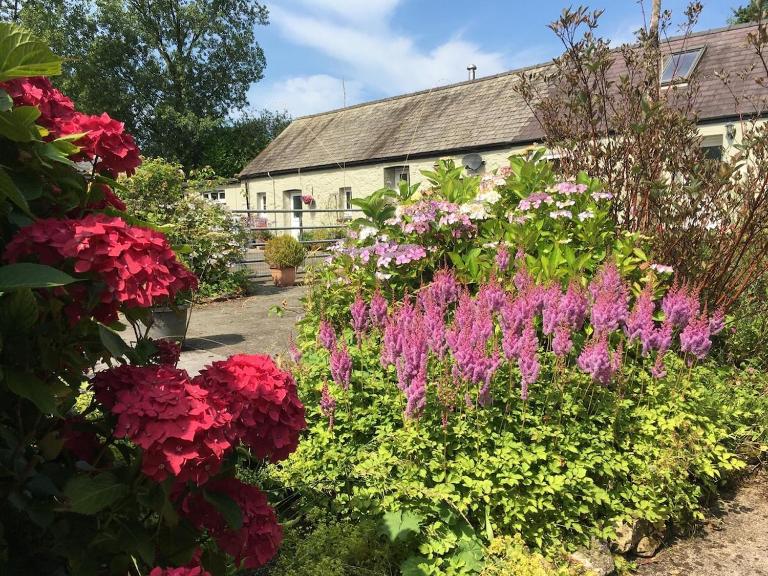 Hebron Farm Cottage - B&B Whitland