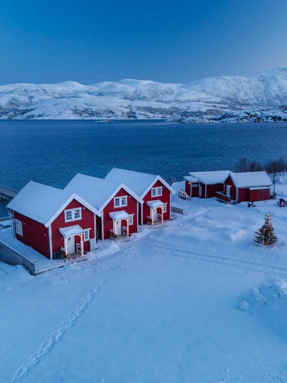 Vengsøy Rorbuer - Bed and Breakfast Vengsøya