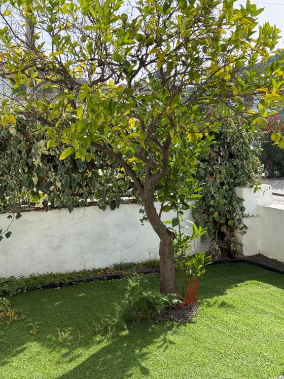 Orange Tree Private Home - Ferienwohnung Santarém