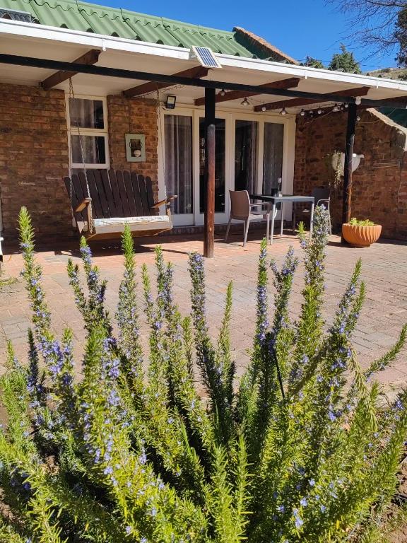 Palmboom Cottage at Sielerus by Horeb - B&B Clarens