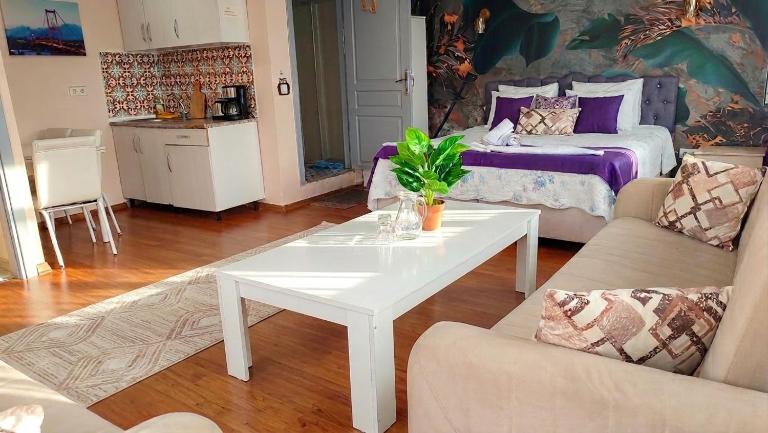 Medellin Apart Hotel Istanbul - Bed and Breakfast Istanbul