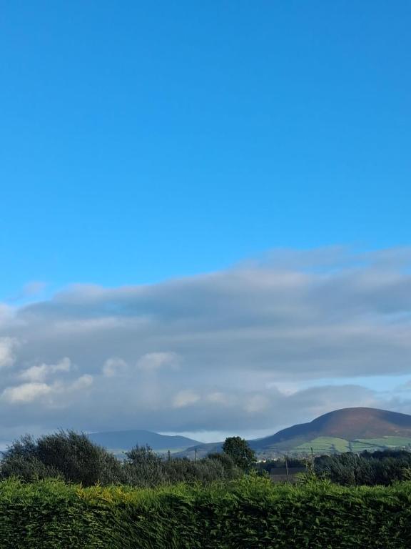 Fairway - B&B Rathmore