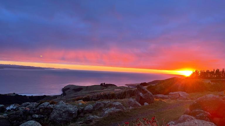 Villa Rustica Retreat - B&B Dunedin