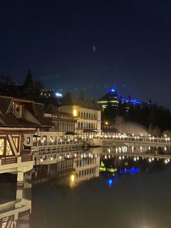 Apartament spațios, complet mobilat și utilat - B&B Poiana Brasov