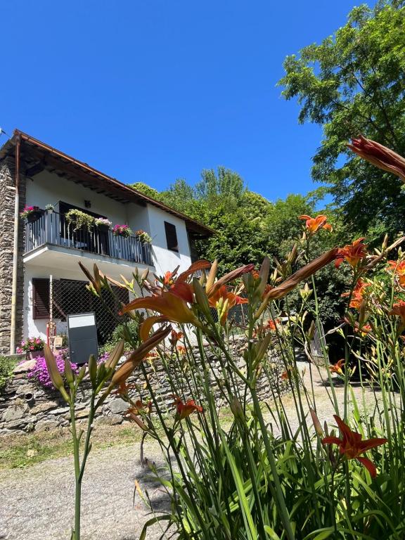 Ferienwohnung Monviso - B&B Paesana