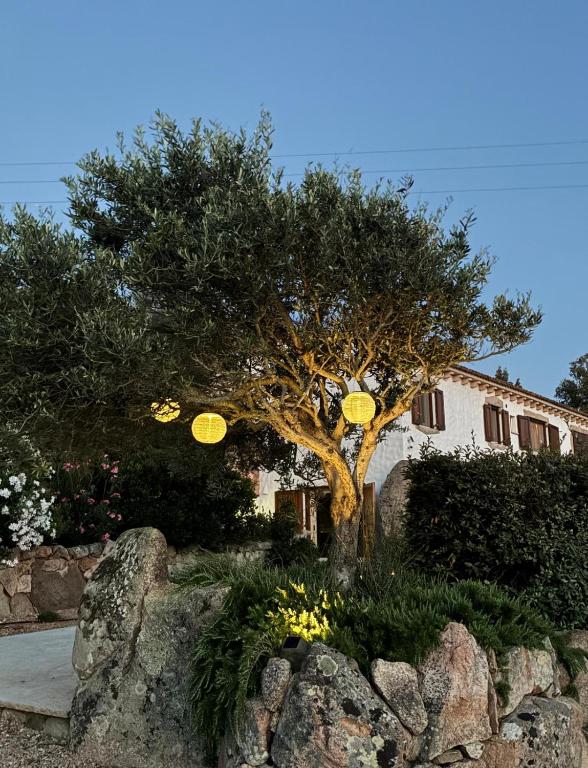 Stazzu La Vigna Di Maria - B&B Aglientu