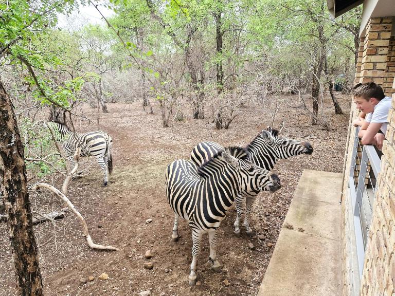 Tusker House Kruger - B&B Marloth Park