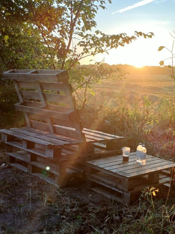 Tiny house in nature 8 km from Ribe city center, Denmark - B&B Ribe