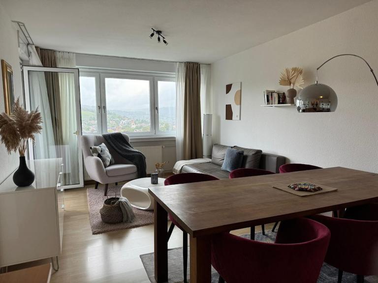 Entire flat close to Basel with stunning view - Ferienwohnung Weil am Rhein