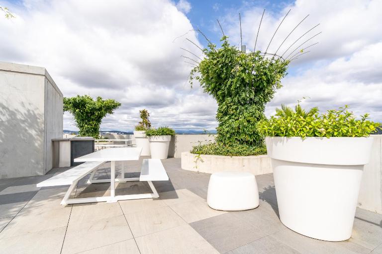 Beautiful Art Apartment near Tram and Shops! - Hosted by CanStay - B&B Canberra