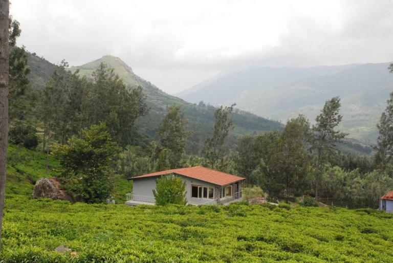 Hospitality Expert TVE BBQ Bonfire Chef - B&B Kotagiri