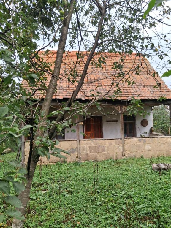 Old house in Dsegh - Ferienwohnung Dsegh