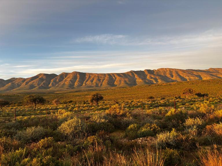 Dassiekrans Guesthouse - Shama Lodge - B&B Steytlerville