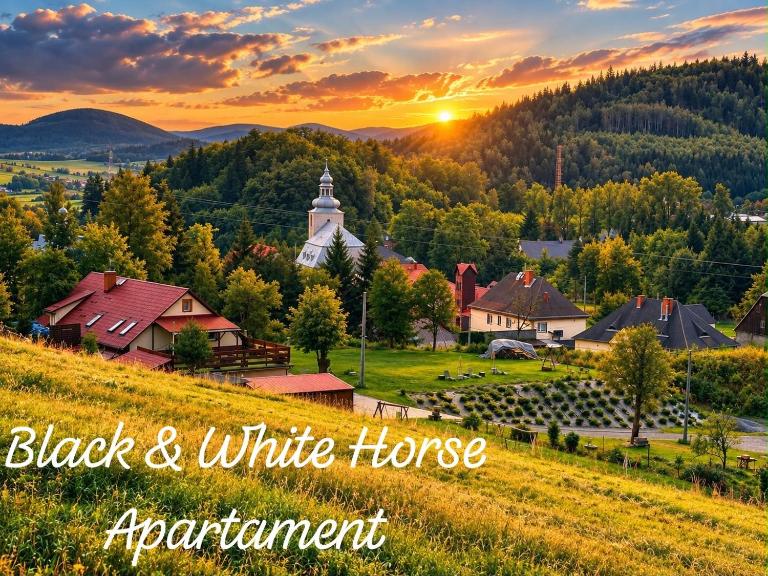 Czarny Koń i Biały Koń Black Horse & White Horse Apartamenty - Bed and Breakfast Kamienna Góra