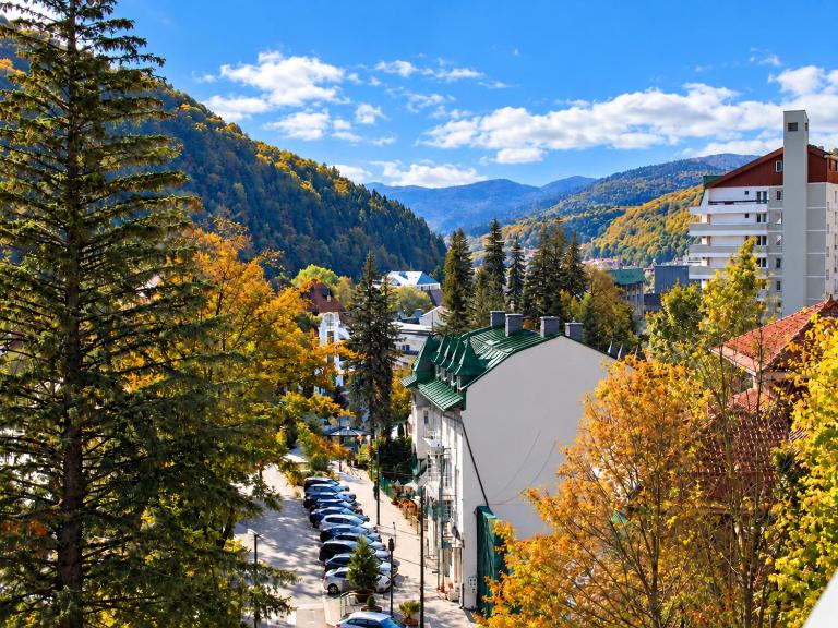 Central Park View Sinaia - Ferienwohnung Sinaia