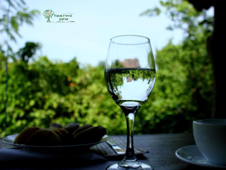 The Thick Forest - Bed and Breakfast Sigiriya