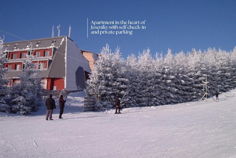 Little Mountain Apartment - Heart of Jeseníky, Ramzová - B&B Ostružná